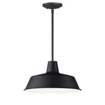 Black One Light Pendant From The Pier Collection. Fixed Price $138.00.