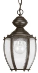 Progress Lighting P5565-20 Roman Coach Lantern Outdoor Antique Bronze. Fixed Price $105.52.