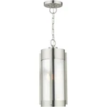 Livex Lighting 22385-91 Sheridan Outdoor Pendant Chandeller Brushed Nickel. Fixed Price $579.96.