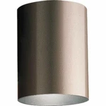 Progress Lighting P5774-20 Inch Cylinder One Flush Mount Bronze. Fixed Price $15.95.