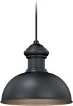 Vaxcel Lighting T0152 Bronze Franklin Single 10"W Outdoor Pendant. Fixed Price $134.99.