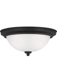 Generation Lighting Signature 2-LIGHT Flush Mount Ceiling 77064EN3-112 New. Fixed Price $55.00.