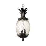 Used Acclaim Lighting 7516BK Lanai - Three Outdoor Hanging Lantern 10. Fixed Price $195.50.