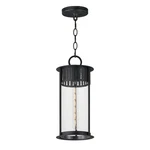 Black Patina One Light Outdoor Pendant From The Windsor Collection. Fixed Price $238.00.