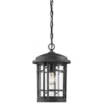 Designers Fountain 22434-WP Barrister Outdoor Pendant Chandeller. Fixed Price $53.87.