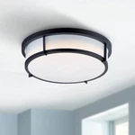 Maxim Rogue 17" Wide Black Led Ceiling Light. Fixed Price $205.70.