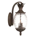 Acclaim Lighting Lanai 3 Down-wall Sconce, Black Coral 7512BC. Fixed Price $192.00.