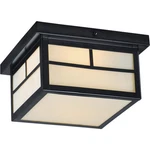 Maxim Lighting 4059WTBK Coldwater Outdoor Ceiling Black. Fixed Price $127.50.
