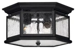 Hinkley 1683BK Edgewater Flush 2-LIGHT Outdoor. Fixed Price $299.00.