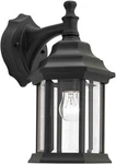 Forte Lighting 1715-01 Outdoor Wall Sconce. Fixed Price $41.85.