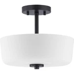 Close-to-ceiling Light Bowl Shade Modern Style 12.25 Inches. Fixed Price $104.95.