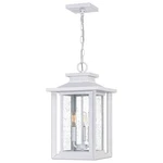 Wakefield 3-LIGHT Outdoor Hanging Lantern Matte White. Fixed Price $479.99.