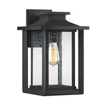 Wakefield 1-LIGHT Outdoor Wall Lantern In Earth Black. Fixed Price $239.99.