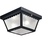 2-LIGHT Matte Black Textured Glass Traditional Outdoor Ceiling By Progress. Fixed Price $39.48.