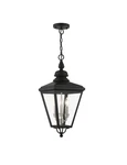 Livex Adams Lt Outdoor Pendant Lantern Black/nickel 27377-04 New. Fixed Price $478.00.