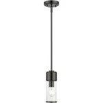 Livex Lighting 17140-46 Quincy Mini Pendant Black Chrome. Fixed Price $140.77.