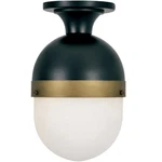 Crystorama Capsule 1-LT Bp Flynn Outdoor Ceiling, Matte Black CAP-8500-MK-TG. Fixed Price $174.40.