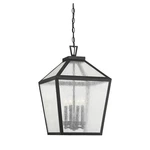 Savoy House Woodstock 4-LIGHT Outdoor Hanging Lantern, Black 5-104-BK. Fixed Price $564.00.