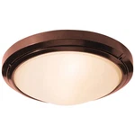 Access Lighting Wet Locations 2-LED Ceiling Light, BRONZE/FR-20356LEDD-BZ-FST. Fixed Price $169.00.