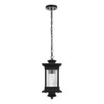 Elegant Lighting Collins 7" Outdoor Pendant Black. Fixed Price $118.00.