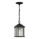 Sea Gull Lighting 60029-746 Kent Outdoor Semi-flush Mount Convertible Pendant.... Fixed Price $74.65.
