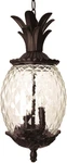 Acclaim 7516BC 3-LIGHT Outdoor Hanging Lantern Black Coral Finish. Fixed Price $306.99.