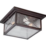 Nuvo Vega 2 Light Outdoor Flush Fixture W/ Clear Glass, Classic Bronze 60-5616. Fixed Price $184.99.