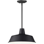 Maxim Lighting 35019BK Pier 14 Inch Black Outdoor Pendant, X-large. Fixed Price $124.20.