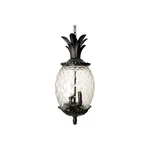 Acclaim 7516BK Lanai Collection 3-LIGHT Outdoor Fixture Hanging Lantern.... Fixed Price $293.64.