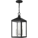 Livex Lighting 20593-04 Nyack Outdoor Pendant Chandeller. Fixed Price $493.96.