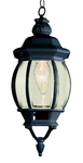 Trans Globe Lighting 4065 1 Down Small Outdoor - Black. Fixed Price $76.00.