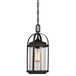 Westinghouse Grandview 1LT Outdoor Pendant, Bronze/hl/clear Seeded - 6339400. Fixed Price $134.99.