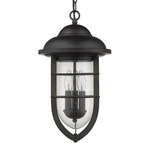 Acclaim Lighting 1716 Bronze Dylan 3-LIGHT 10"W Outdoor Pendant. Fixed Price $150.00.
