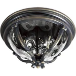 Maxim Lighting 41420WGGO Camden Vx Outdoor Ceiling Golden Bronze. Fixed Price $210.80.