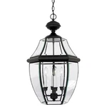 Quoizel NY1180 Newbury 4 Light 16"W Outdoor Pendant Lantern - Black. Fixed Price $466.99.