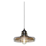 Luminance F3617-74 Pendant Ibis 1-LIGHT 60W Champagne Glass. Fixed Price $29.99.