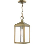 Livex Lighting 20591-01 Nyack Outdoor Pendant Chandeller Antique Brass. Fixed Price $299.96.