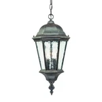Acclaim Lighting Telfair 2 Hanging Light, Black Coral - 5516BC. Fixed Price $112.00.