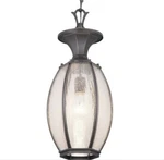 Progress Lighting River Place 1-LIGHT Antique Bronze Glass Hanging Lantern. Fixed Price $89.75.