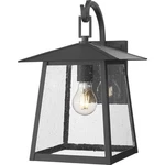 Z-lite 5015S-BK Rainer Outdoor Wall Light Black, G9. Fixed Price $222.00.