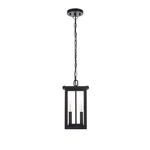 Elegant Lighting Venango Outdoor Pendant, Black - OD324H14BK. Fixed Price $108.00.