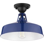 Progress Lighting P550070 Cedar Springs 13"W Semi-flush Ceiling Blue. Fixed Price $134.99.