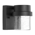 Progress Lighting Z-1060 Led 1-LIGHT Black Clear Glass Outdoor Wall Lantern. Fixed Price $44.95.
