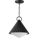 Maxim Lighting 35131WTBK Odette 12 Inch Black Outdoor Pendant. Fixed Price $169.20.