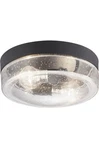 Progress Lighting P550042-031 Weldon Outdoor Bowl Shade. Fixed Price $90.00.