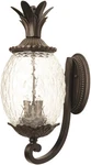 Acclaim 7501BC Lanai 2-LIGHT Outdoor Wall Mount Fixture In Black Coral. Fixed Price $220.99.