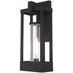 Livex Lighting 20993-04 Delancey 1 Inch Black Outdoor Wall Lantern. Fixed Price $893.96.