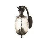 Acclaim 7502BK Lanai Collection 2-LIGHT Wall Mount Outdoor Fixture, Mat.... Fixed Price $196.25.