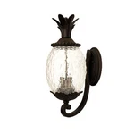 Acclaim 7511BK Lanai Collection 3-LIGHT Wall Mount Outdoor Fixture, Mat.... Fixed Price $246.19.