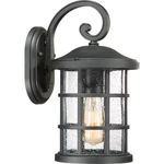 Quoizel CSE8408EK Crusade 14.25" Clear Seedy Outdoor Wall Lantern In Earth Black. Fixed Price $169.99.